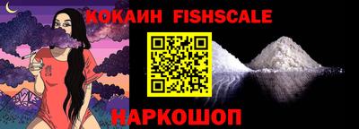 индика Партизанск