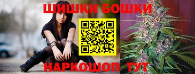 индика Партизанск