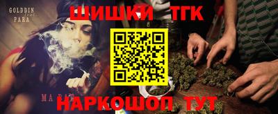 индика Партизанск