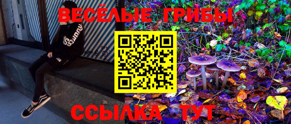 как найти   Галлюциногенные грибы Magic Shrooms  Вход с VPN  Галлюциногенные грибы Cubensis  Пятигорск 