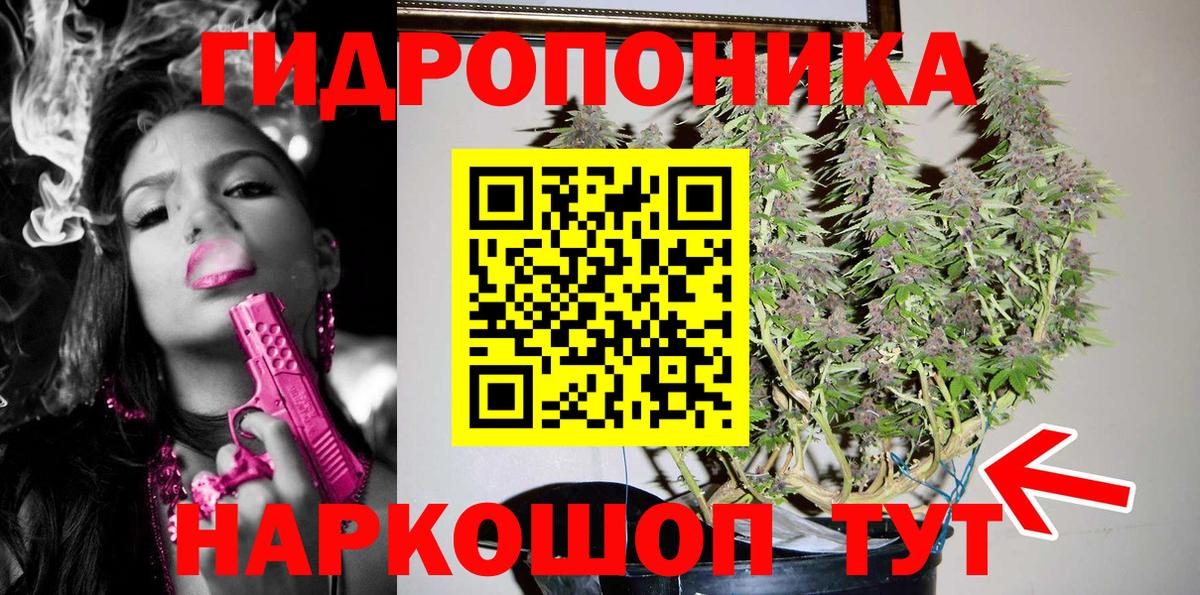 Пятигорск  Канабис сатива  Вход с VPN  Марихуана семена 